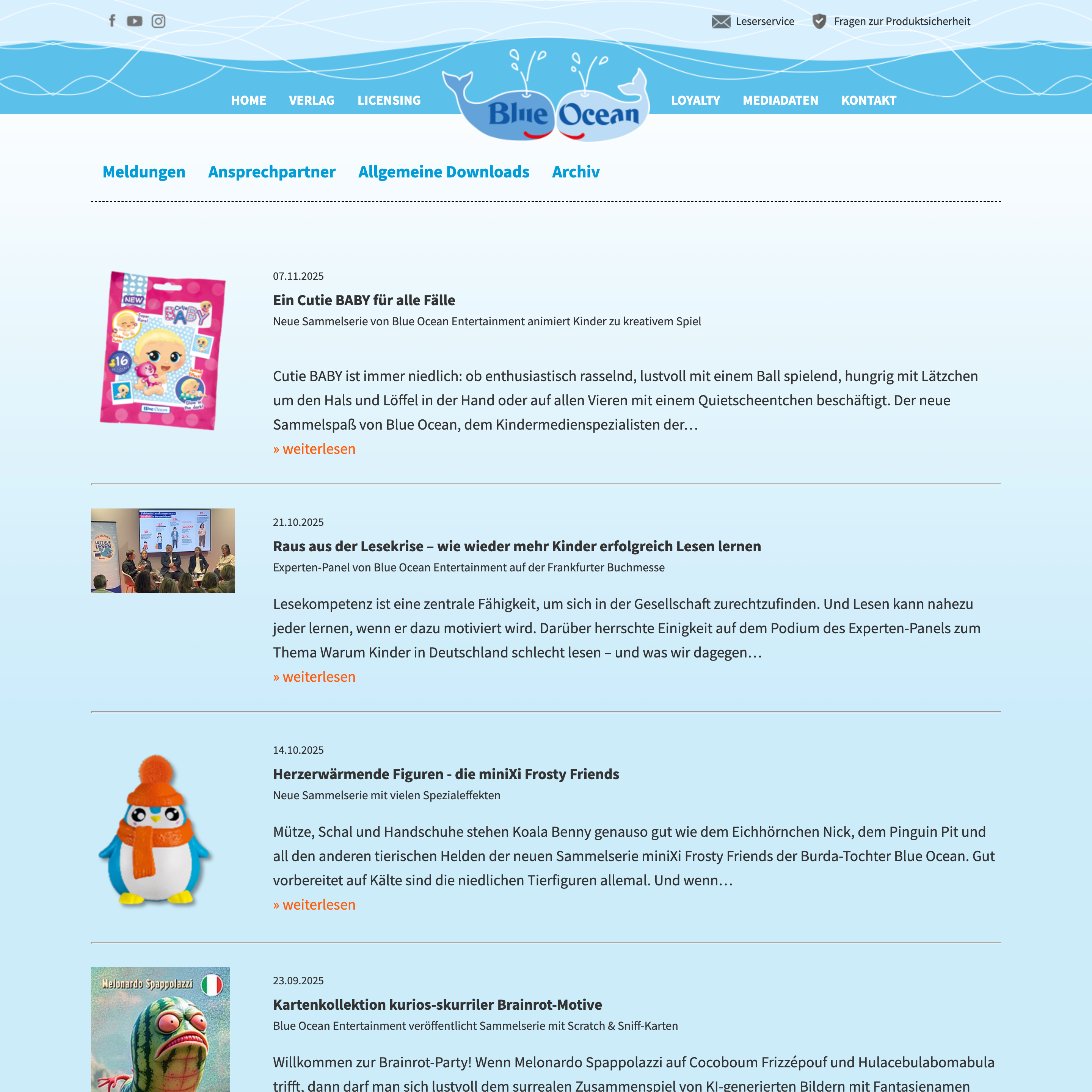 Vorher – Desktop 5