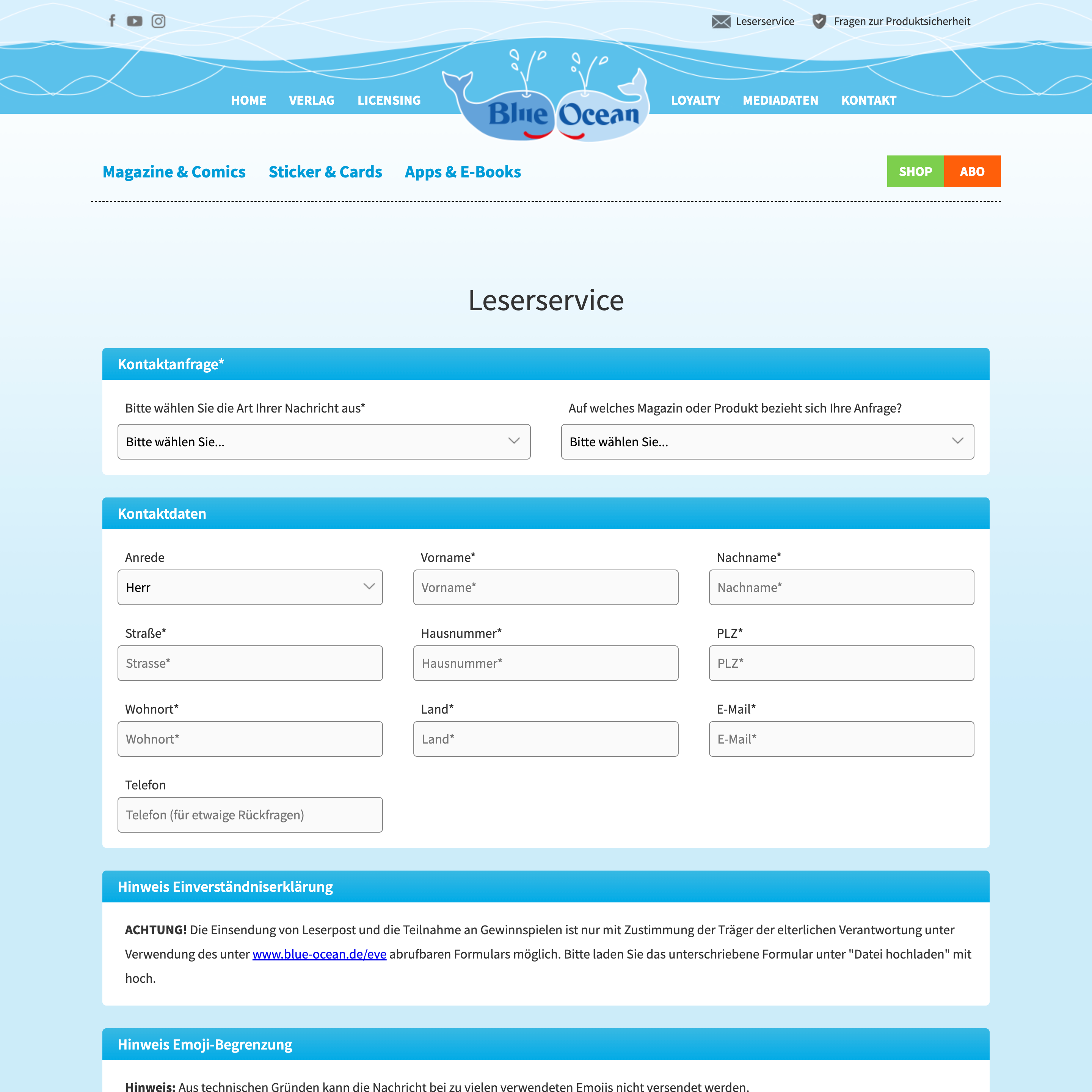 Vorher – Desktop 8